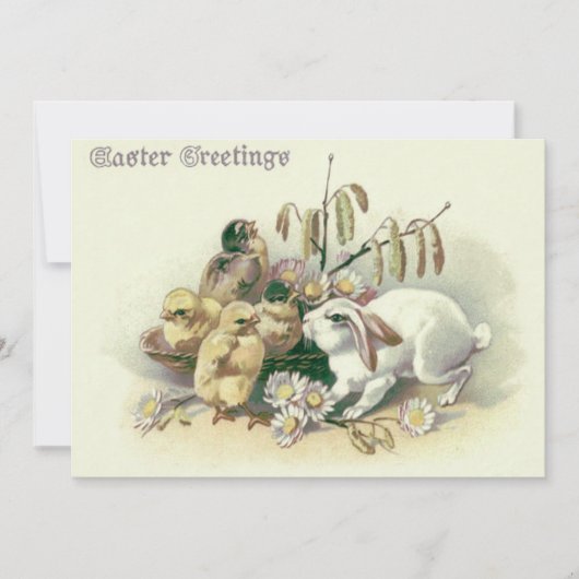 Osterhase-Küken Daisy Einladung (Vorderseite)