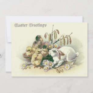 Osterhase-Küken Daisy Einladung