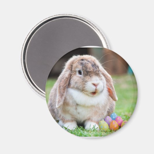 Osterhase Magnet (Vorderseite/Rückseite)