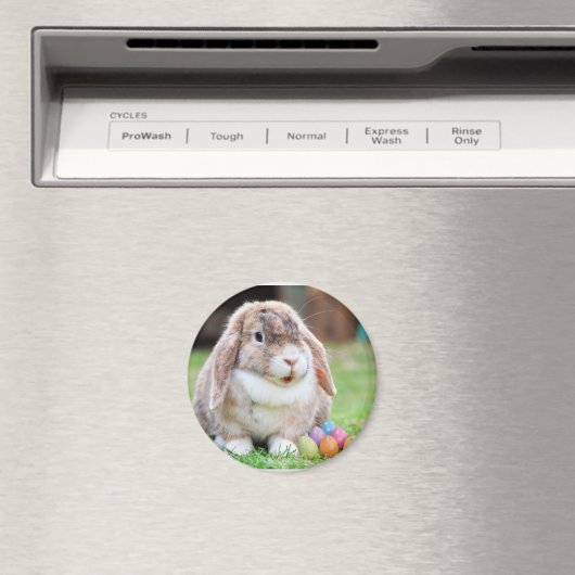 Osterhase Magnet (In Situ (Geschirrspüler))
