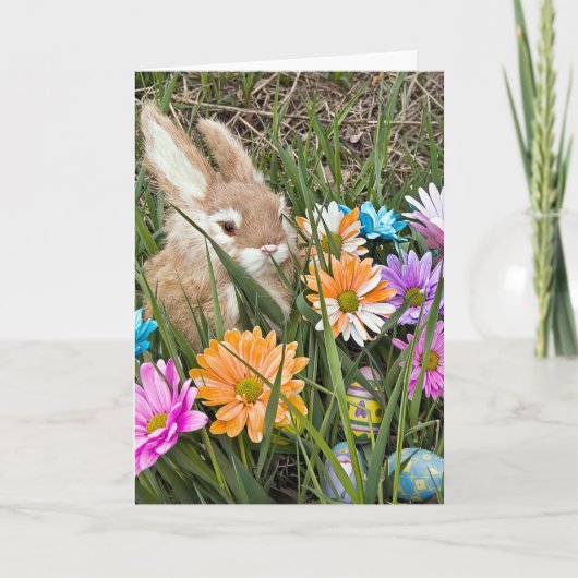 Osterhase mit Gänseblümchen Feiertagskarte (Vorderseite)