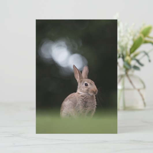 Osterhase Natur Fotokarte Save The Date (Stehend Vorderseite)