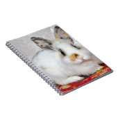 Osterhase Notizblock (Rechte Seite)