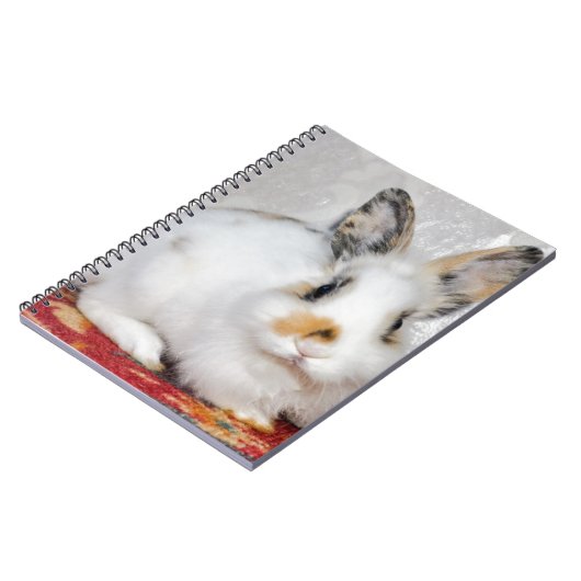 Osterhase Notizblock (Linke Seite)