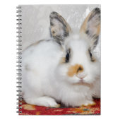 Osterhase Notizblock (Vorderseite)