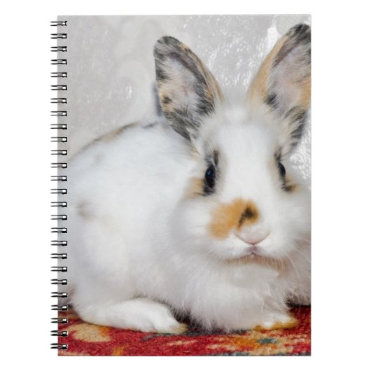 Osterhase Notizblock (Vorderseite)