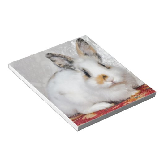 Osterhase Notizblock (angewinkelt)