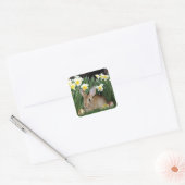 Osterhase Quadratischer Aufkleber (Umschlag)