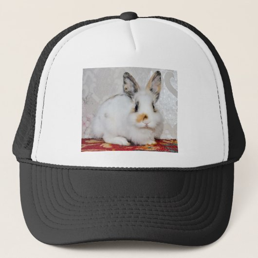 Osterhase Truckerkappe (Vorderseite)