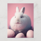 Osterhase und Eier Postkarte (Vorderseite)
