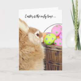 Osterhase und Spaß Eier Feiertagskarte