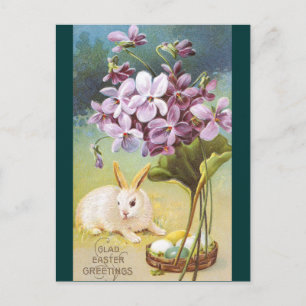 Osterhase & Veilchen Feiertagspostkarte
