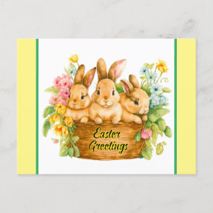 Osterhasen-Grüße Postkarte