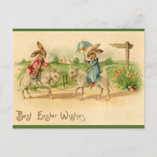 Osterhasen reiten auf Lämmern Vintage Postkarte