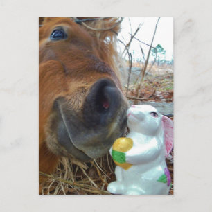 Osterhasen- und Brown-Pferd Feiertagspostkarte