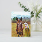 Osterhasen- und Brown-Pferd Feiertagspostkarte (Stehend Vorderseite)