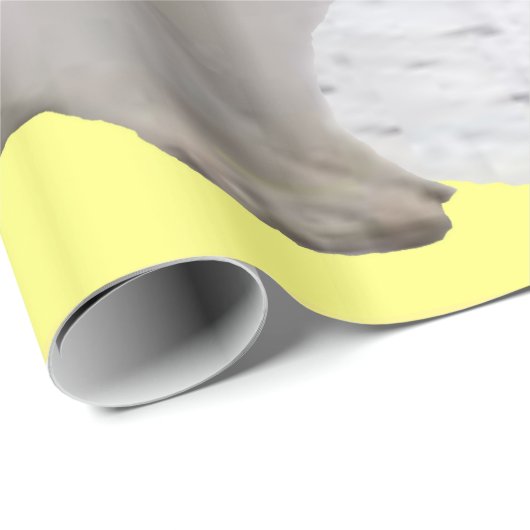 Osterhasenpapier Geschenkpapier (Rolleneckpunkt)