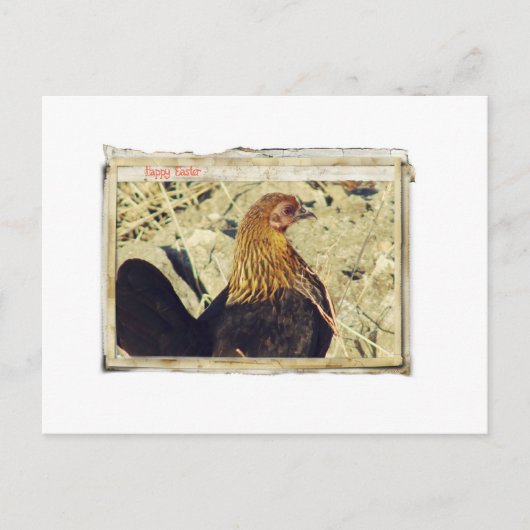 Osterhen Grunge Vintag Papers Feiertagspostkarte (Vorderseite)