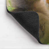 Osterhühner Mousepad (Ecke)
