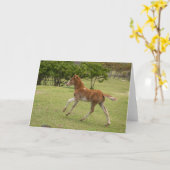 Osterinsel aka Rapa Nui Karte (Gelbe Blume)