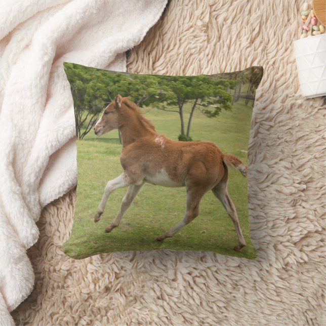 Osterinsel aka Rapa Nui Kissen (Decke)