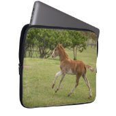 Osterinsel aka Rapa Nui Laptopschutzhülle (Vorne Rechts)