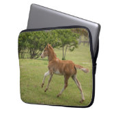 Osterinsel aka Rapa Nui Laptopschutzhülle (Vorderseite Links)