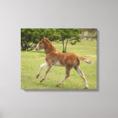 Osterinsel aka Rapa Nui Leinwanddruck (Vorderseite)