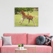 Osterinsel aka Rapa Nui Leinwanddruck (Insitu (Wohnzimmer))