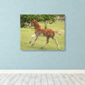 Osterinsel aka Rapa Nui Leinwanddruck (Insitu (Holzboden))