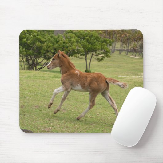 Osterinsel aka Rapa Nui Mousepad (Mit Mouse)