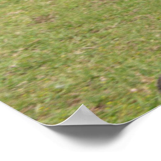 Osterinsel aka Rapa Nui Poster (Ecke)