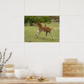 Osterinsel aka Rapa Nui Poster (Küche)