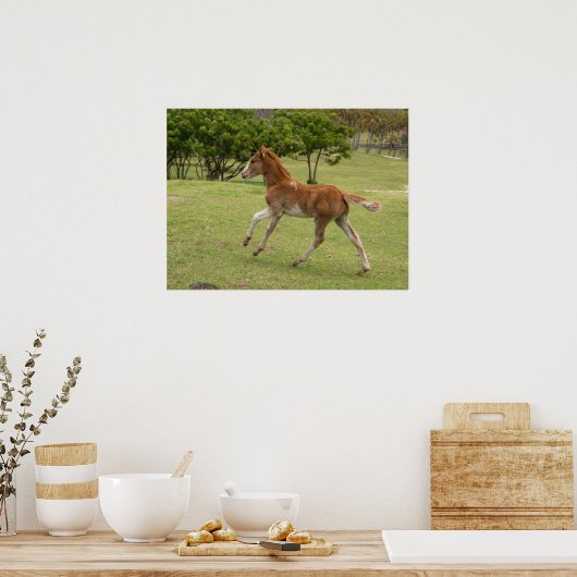 Osterinsel aka Rapa Nui Poster (Küche)