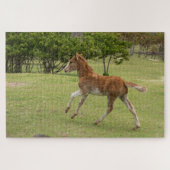 Osterinsel aka Rapa Nui Puzzle (Horizontal)