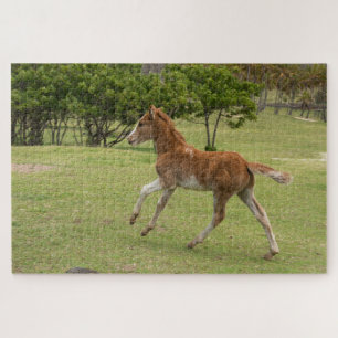 Osterinsel aka Rapa Nui Puzzle