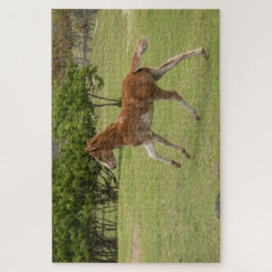 Osterinsel aka Rapa Nui Puzzle (Vertikal)