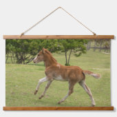 Osterinsel aka Rapa Nui Wandteppich Mit Holzrahmen (Vorne)