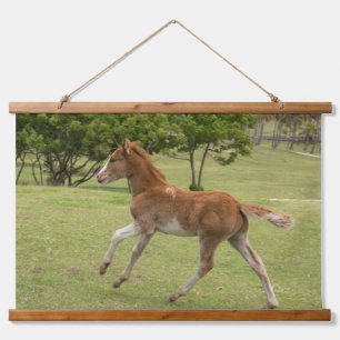 Osterinsel aka Rapa Nui Wandteppich Mit Holzrahmen