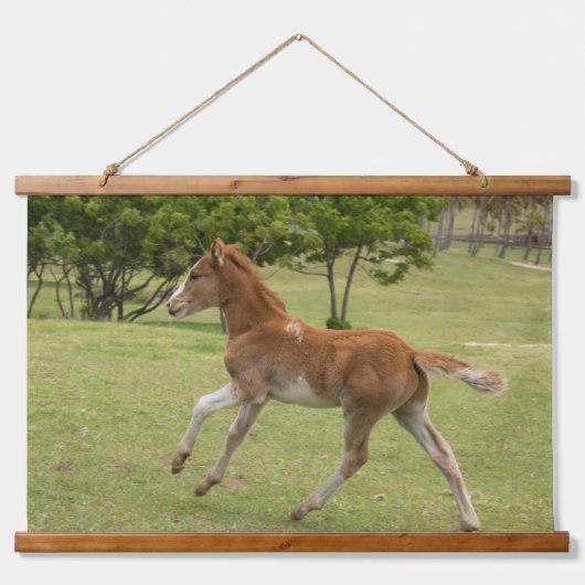 Osterinsel aka Rapa Nui Wandteppich Mit Holzrahmen (Vorne)