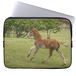 Osterinsel auch Rapa Nui Laptopschutzhülle