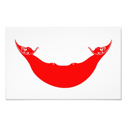 Osterinsel-Flagge Fotodruck (Vorne)