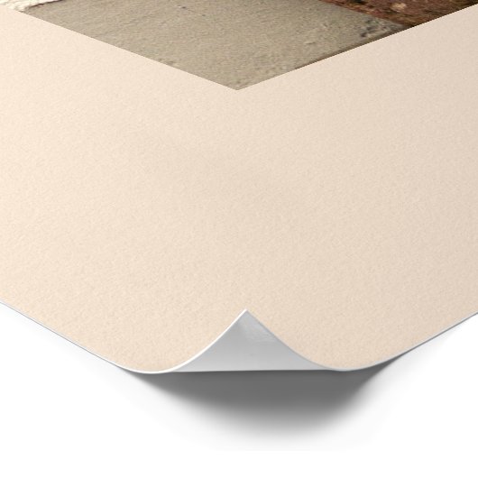 Osterinsel Moai Kopf Thunder_Cove Poster (Ecke)