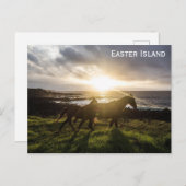 Osterinsel Pferde Foto Postkarte (Vorne/Hinten)