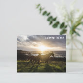 Osterinsel Pferde Foto Postkarte (Stehend Vorderseite)