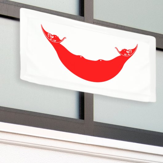 Osterinselflagge Banner (Äußeres Gebäude)