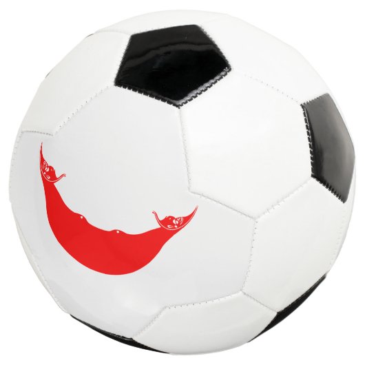 Osterinselflagge Fußball (Dreiviertel)