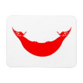 Osterinselflagge Magnet (Horizontal)