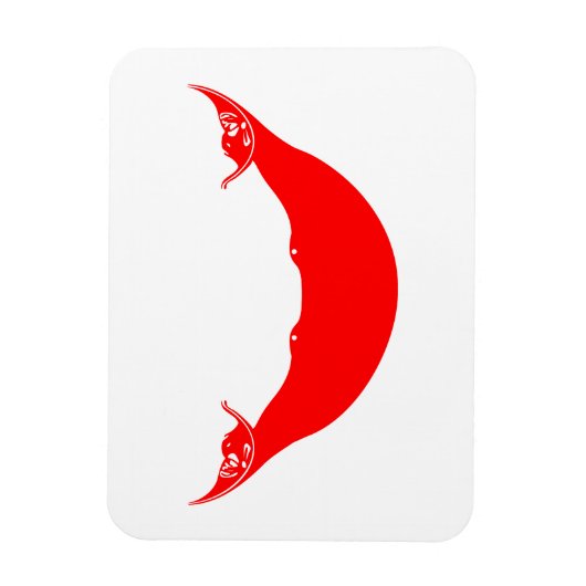 Osterinselflagge Magnet (Vertikal)