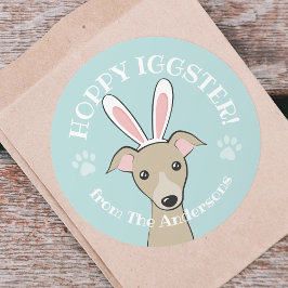 Osteritalienischer Grauhund Hund Niedlich Hunde So Runder Aufkleber